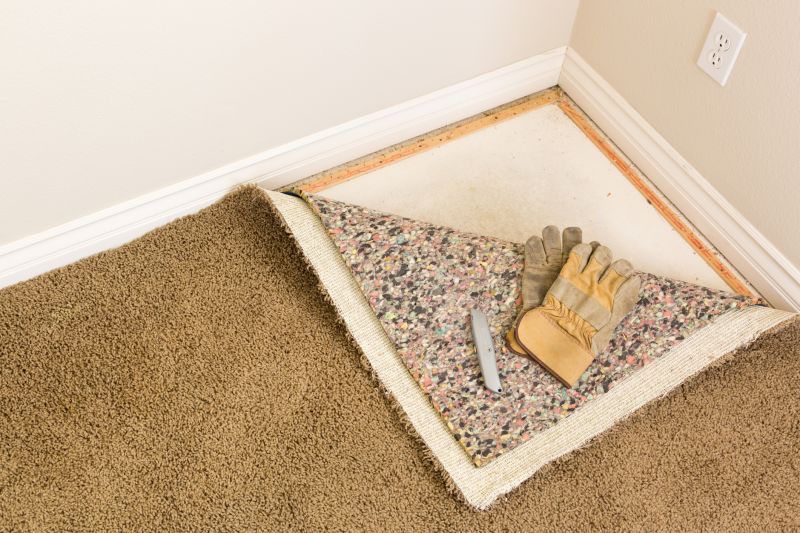 Basement Carpet Replacement in Freehold, NJ