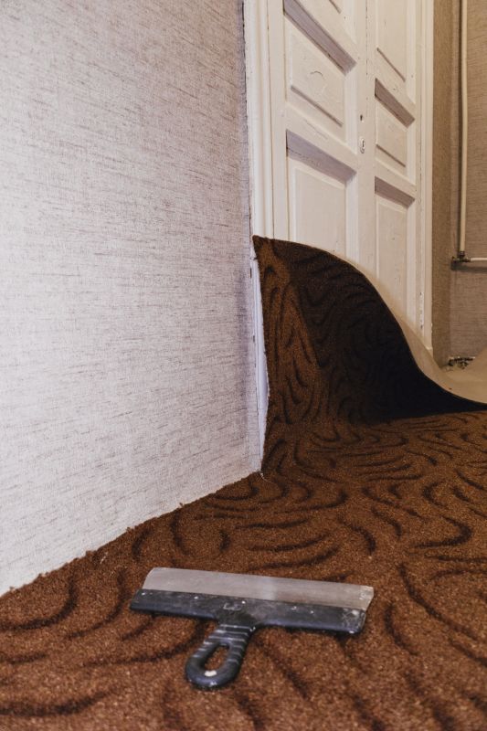 Carpet Restretching in Olathe, KS