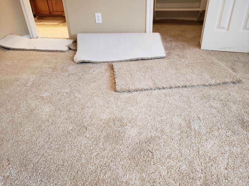 Carpet Stretching in Kansas City, KS
