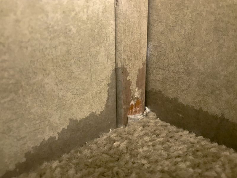 Commercial Carpet Repair in Alpharetta, GA