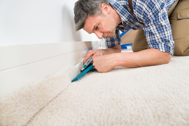 Pet Stain Carpet Repair in Alpharetta, GA