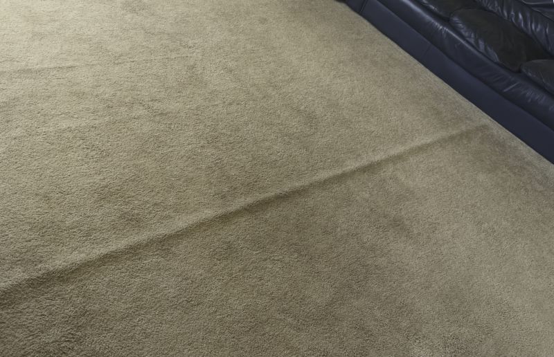 Pet Stain Carpet Repair in Alpharetta, GA