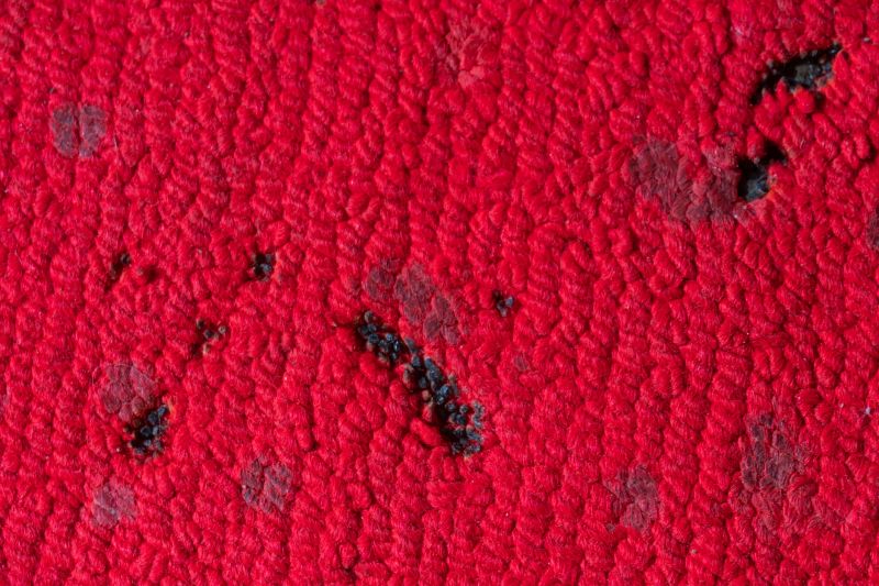 Residential Carpet Repair in Alpharetta, GA